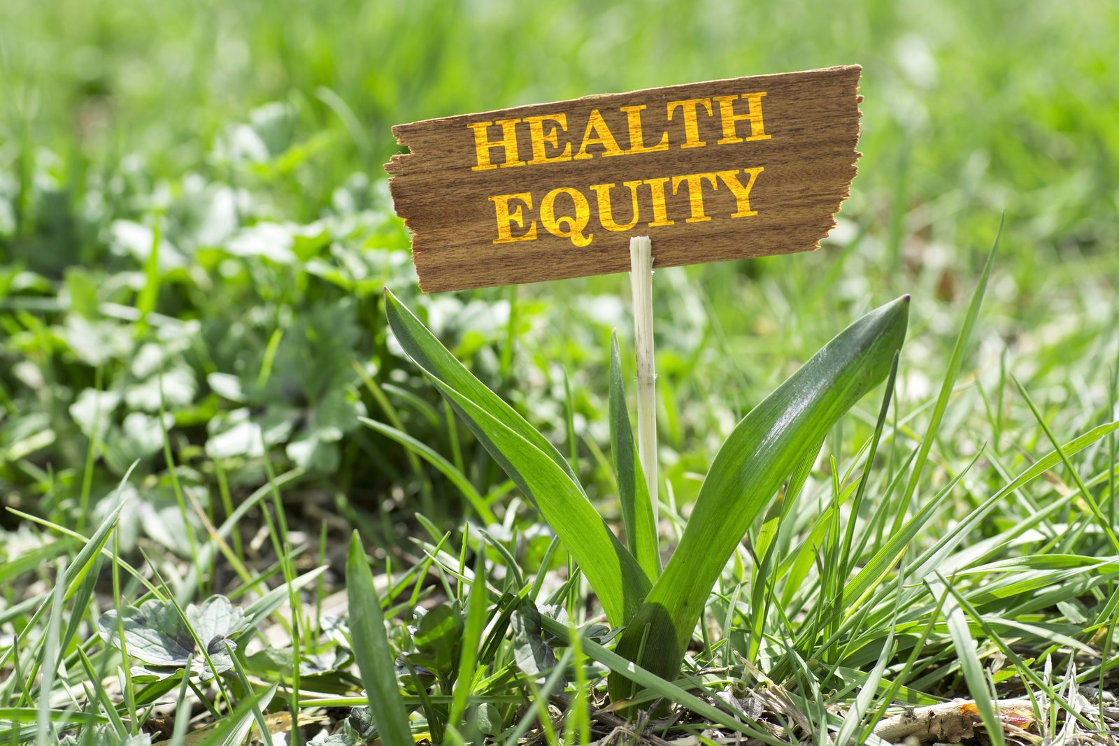 health equity
